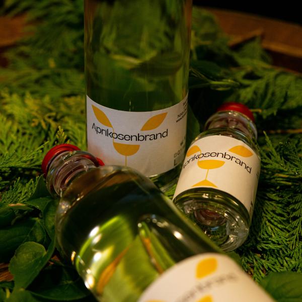 Aprikosenbrand
